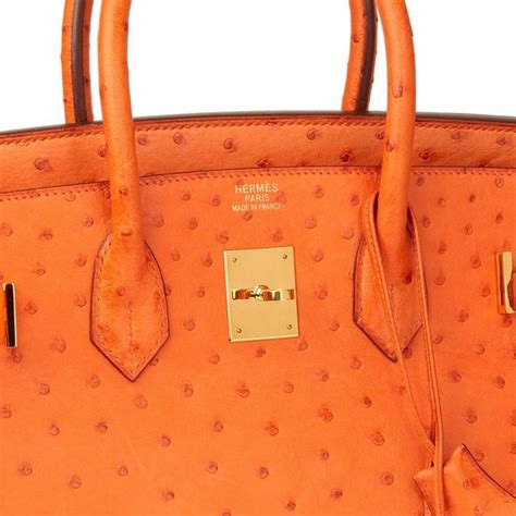 hermes orange ostrich birkin